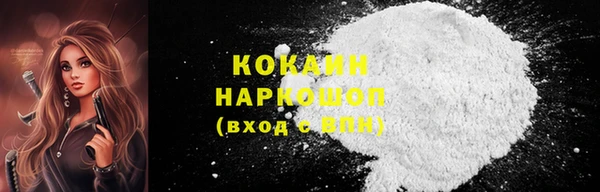стаф Кулебаки