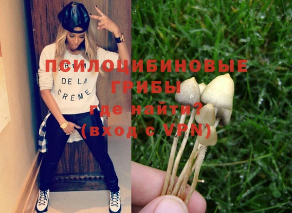 стаф Кулебаки