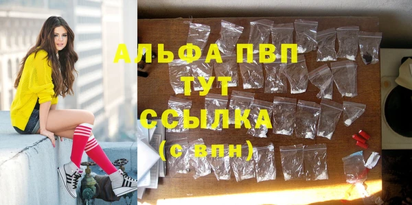 стаф Кулебаки