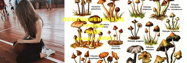 мескалин Куйбышев