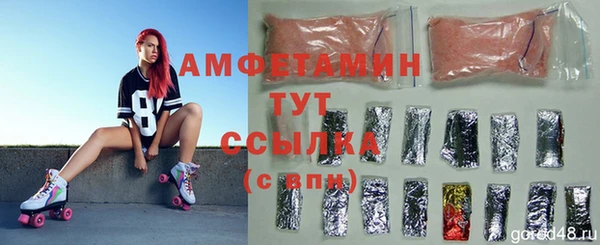 стаф Кулебаки