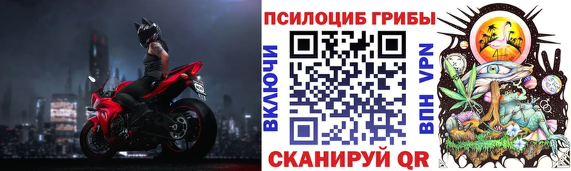 Купить закладки  Ворсма  Псилоцибиновые грибы мицелий 